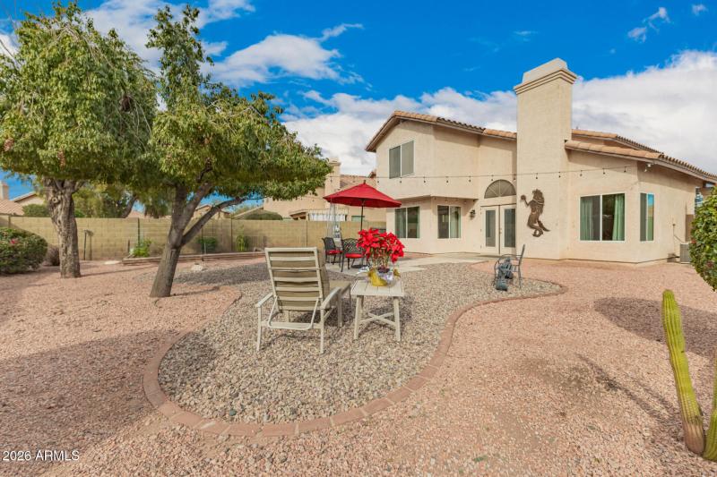 Exterior Backyard