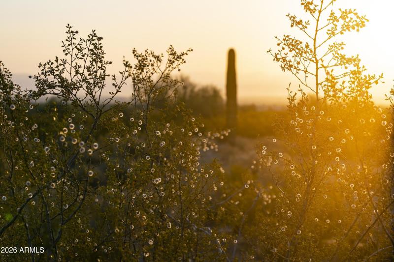 AZ_Ladera Trails_Community Views_7