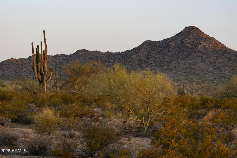 AZ_Ladera Trails_Community Views_5