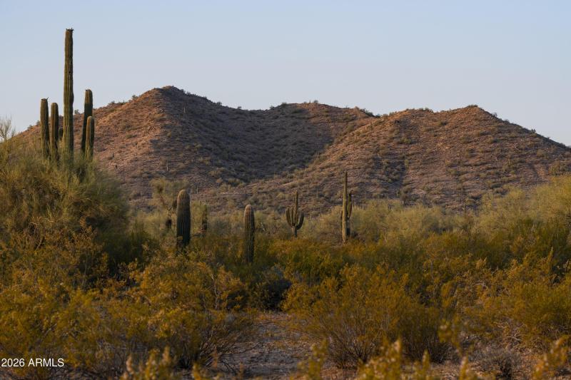 AZ_Ladera Trails_Community Views_8