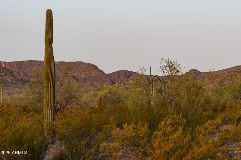 AZ_Ladera Trails_Community Views_6