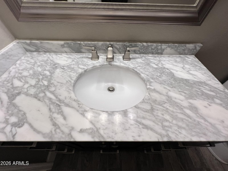 Gorgeous Guest bath countertop