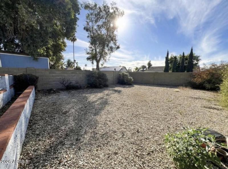 Backyard - Make it your own!