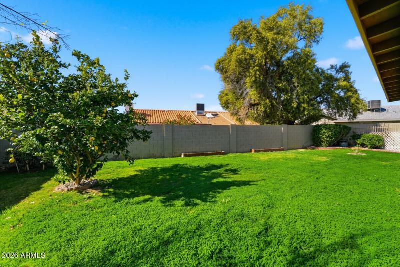 11226 N 60th Ct-25