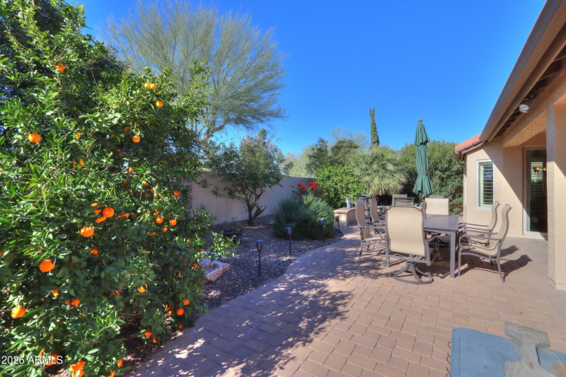 Orange, lime & lemon tress