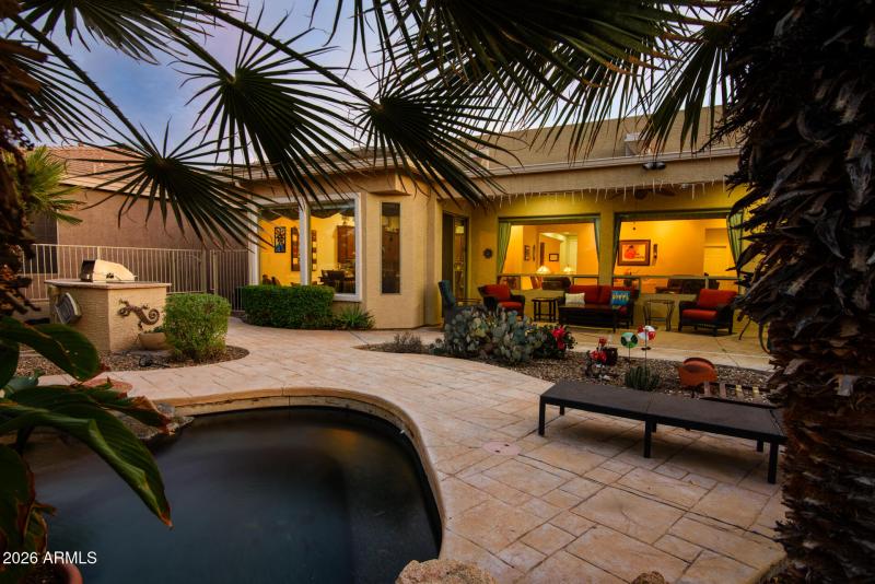 Evening in the backyard