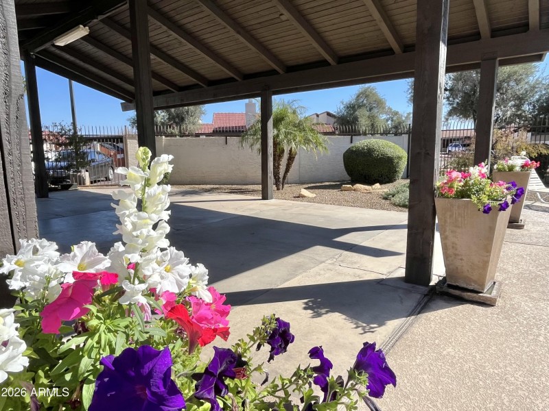 HOA Patio