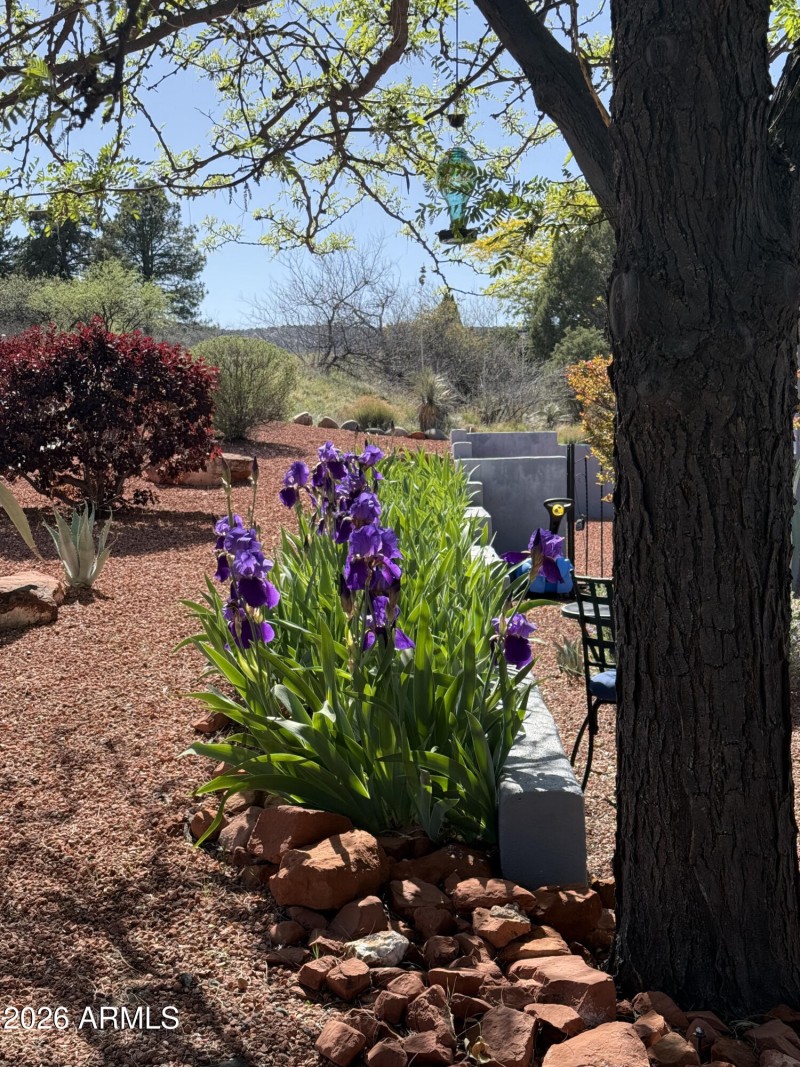 70 Starlight Way Spring