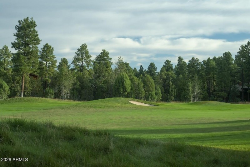 Torreon-Golf-Course-16-2