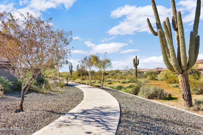 Walking Path