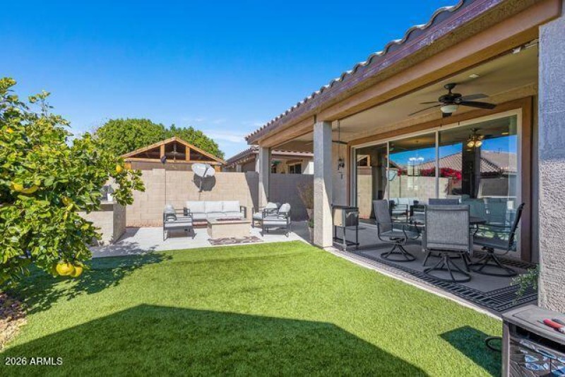 Backyard 6