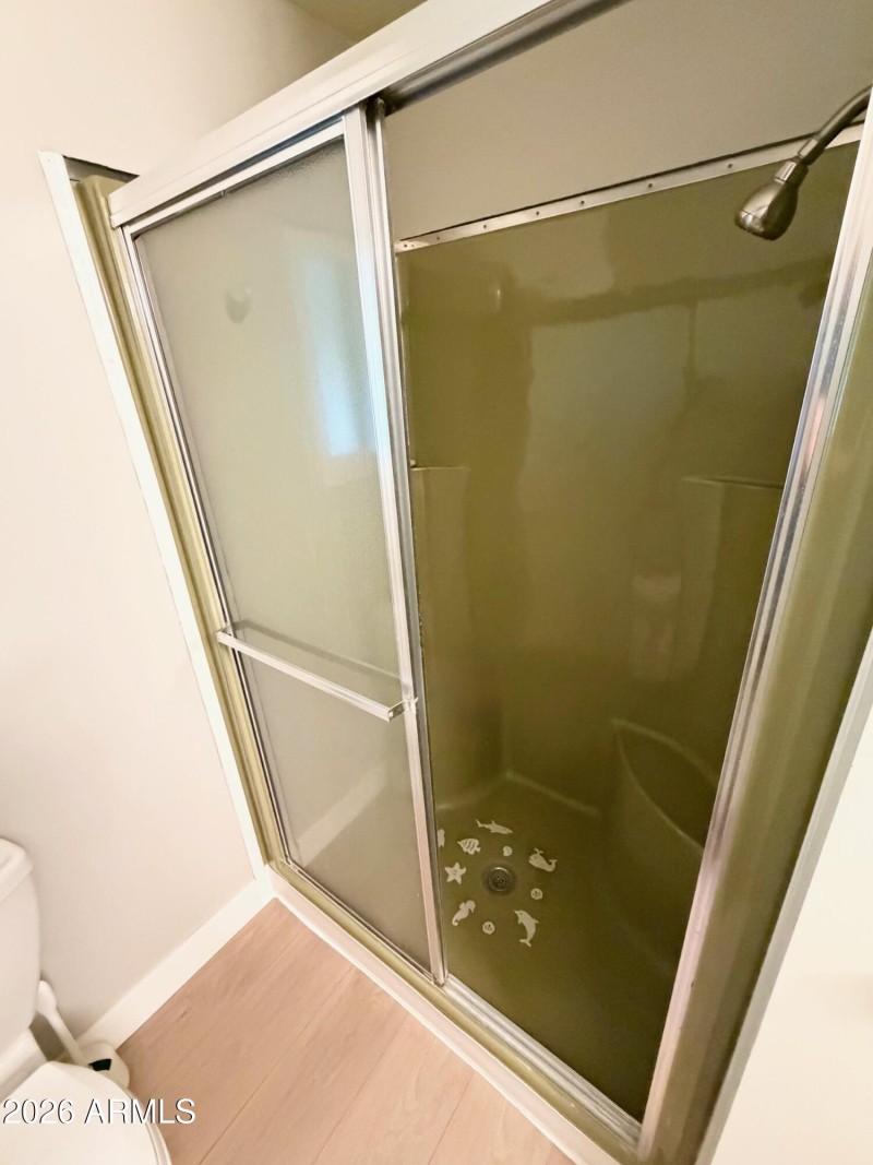 Primary Bath Shower