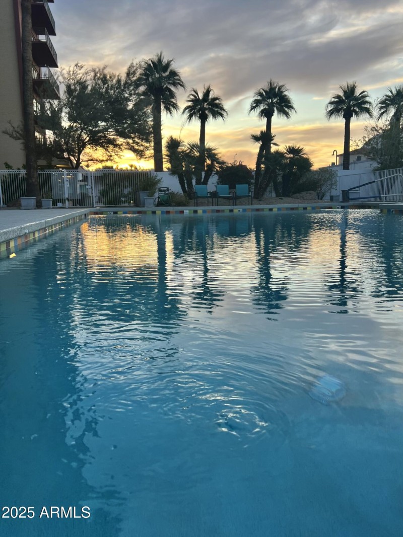 Pool evening