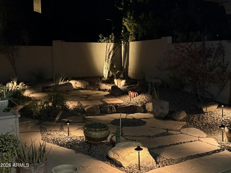 Backyard at night