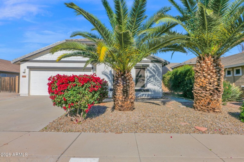 Front Palms
