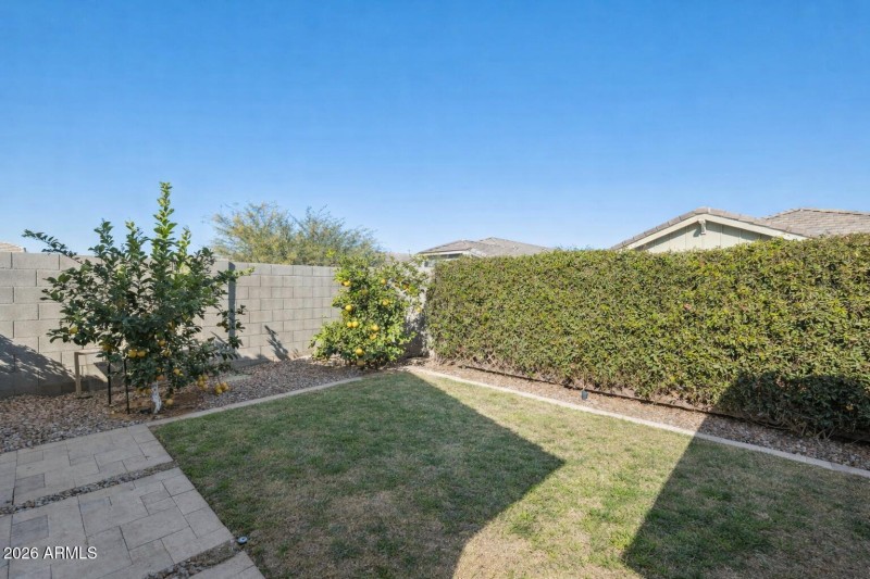 backyard with grass