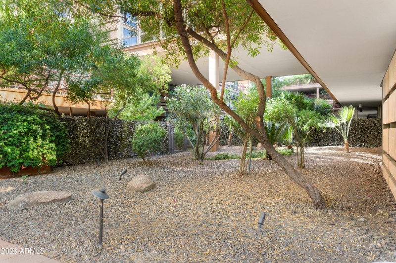 East Side of Patio