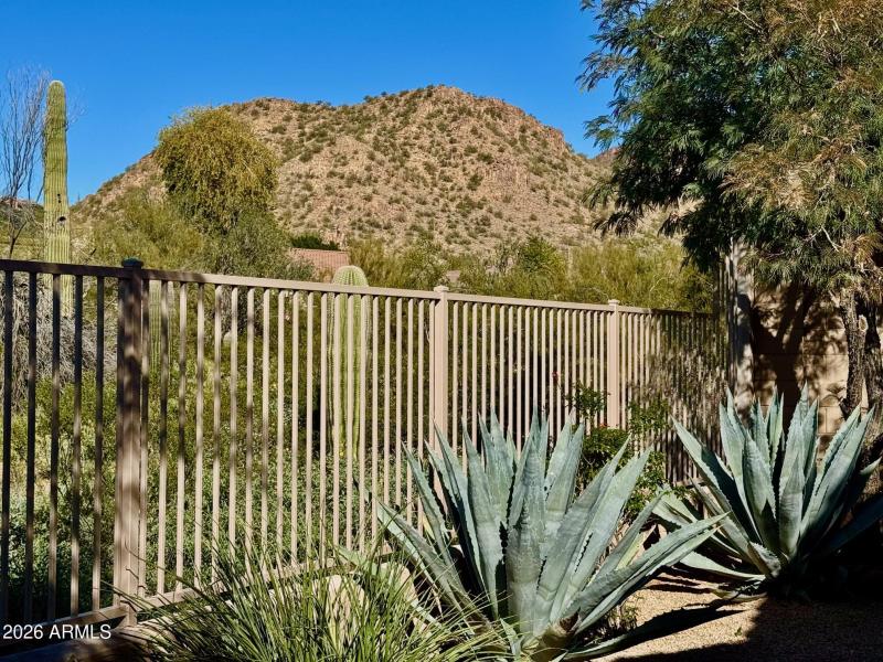 Mountain view from rear yard