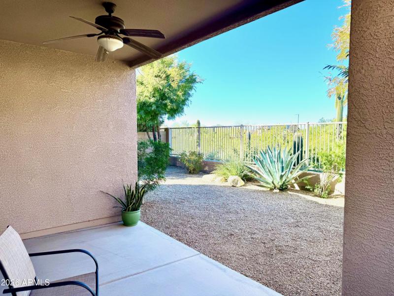 Rear yard from covered patio
