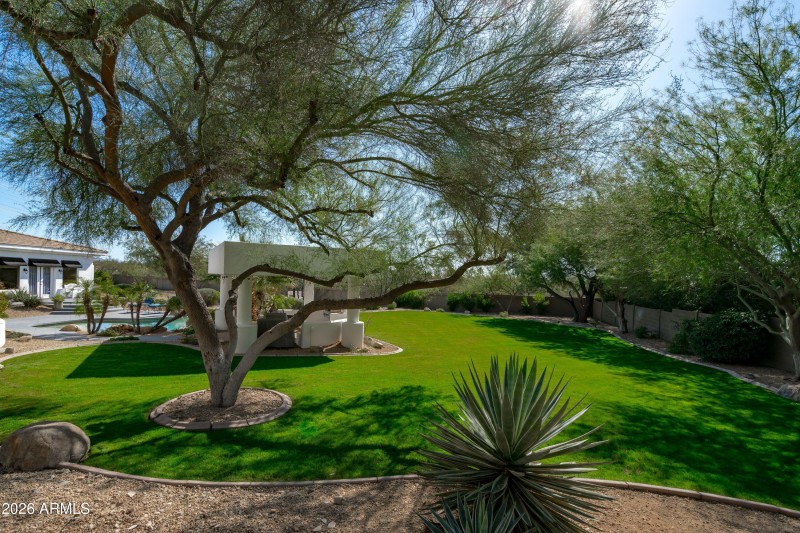 106-Backyard View
