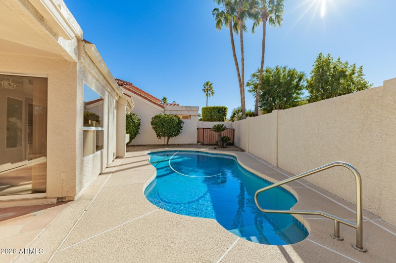 Backyard / Pool