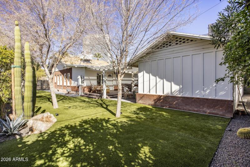 Backyard