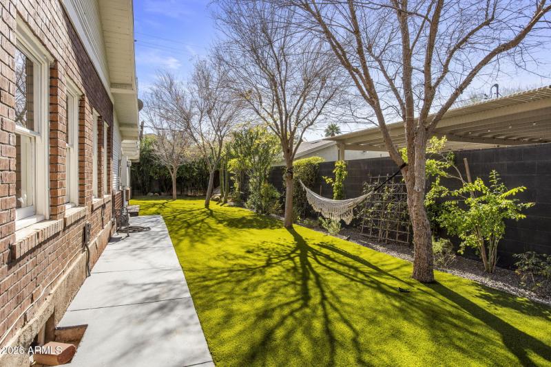 Backyard