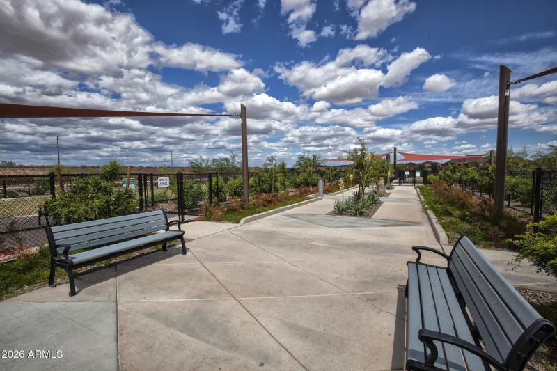 Dog Park_4921 - Copy