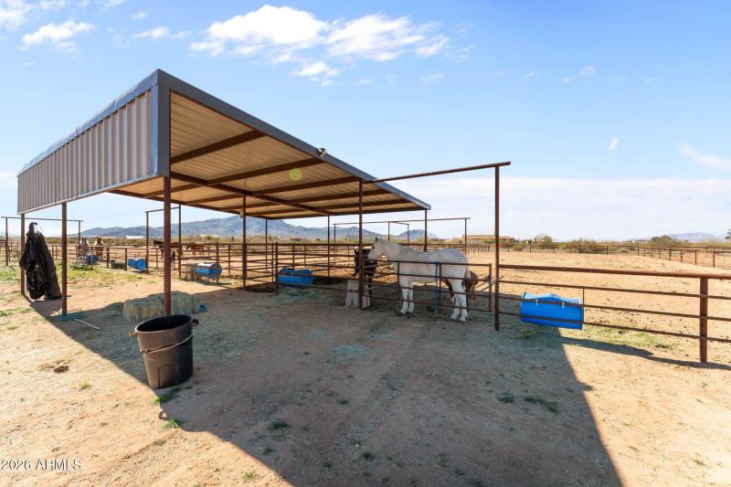 20-web-or-mls-DSC08770