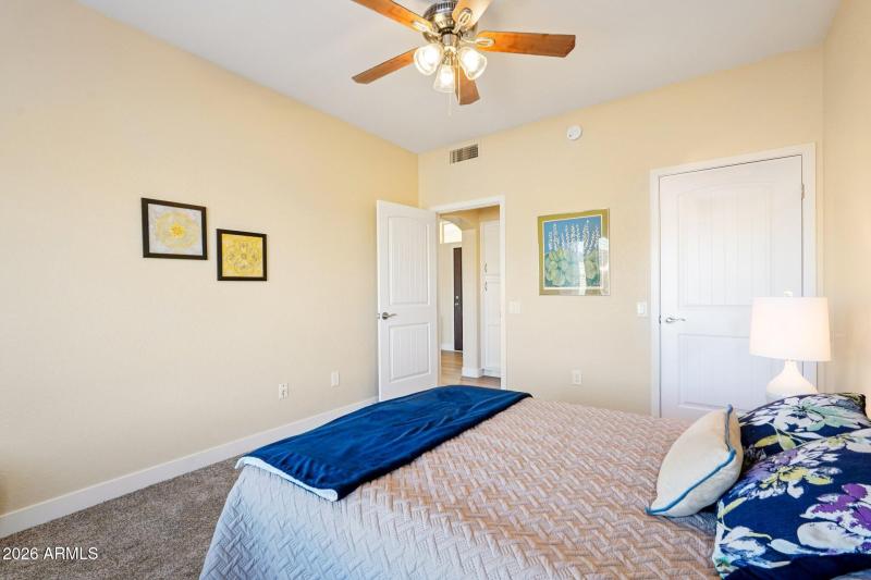 New Doors throughout