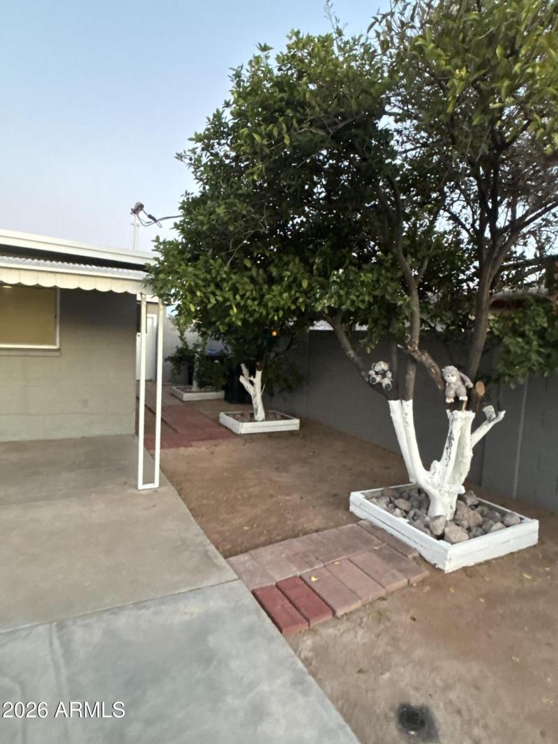 79168735730__A1E08E59-A605-40ED-89C9-B40