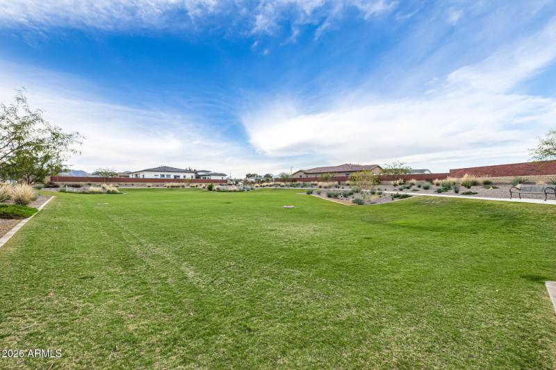 Community Green Area