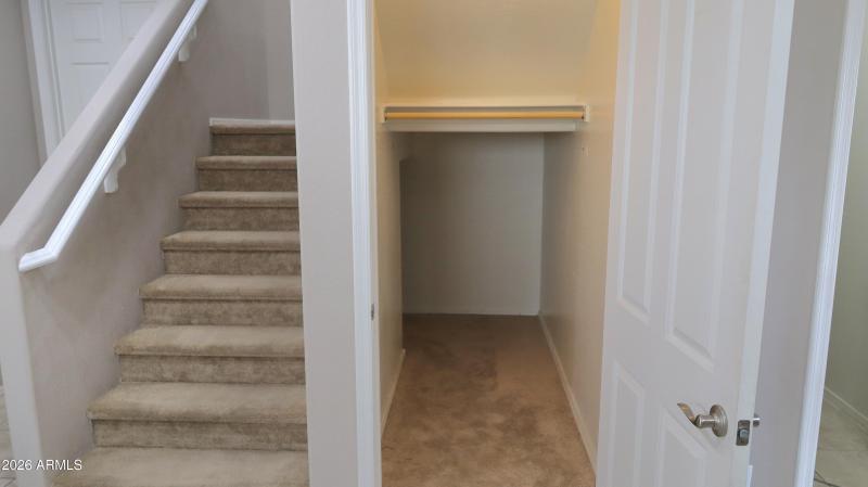Under Stair Storage and Staircase