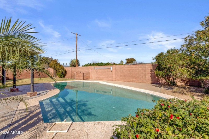 Very nice large pool