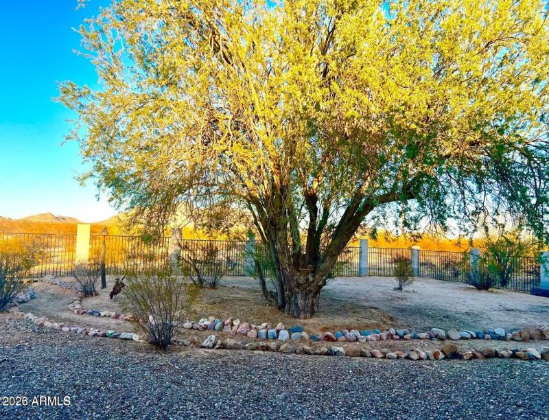 Back yard lined wash