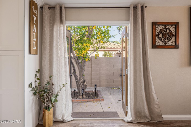 Side Door to Mature Lemon Tree