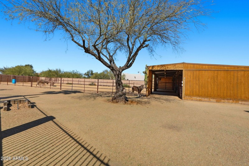 Equestrian grounds