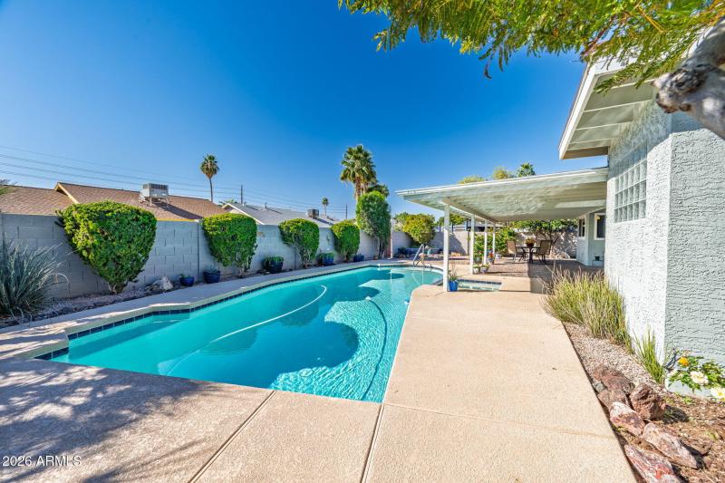 Calle-low maintenance backyard