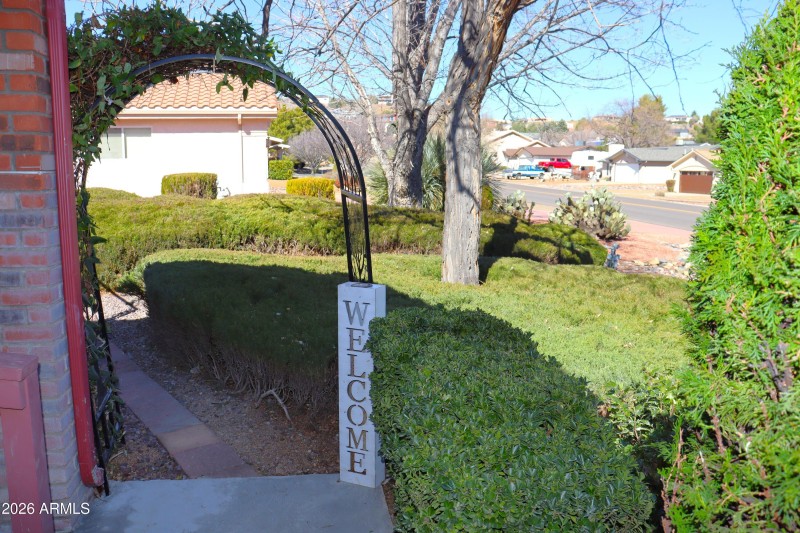 Front Yard