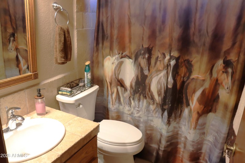 Guest Bath