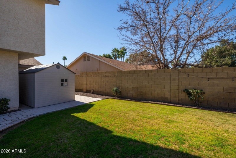 Grassy Yard