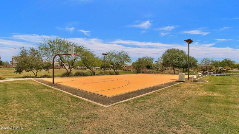 Basketball Court