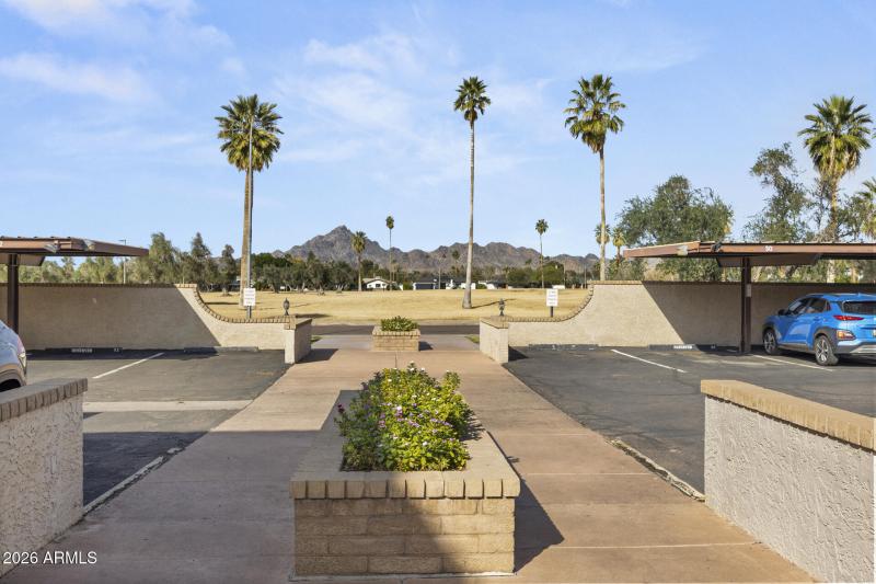 North Facing View from Entrance