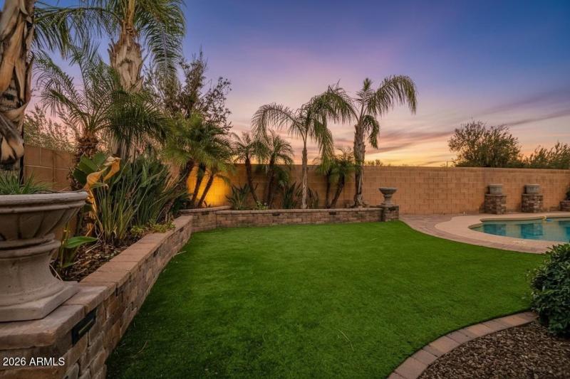 BACKYARD SPACE