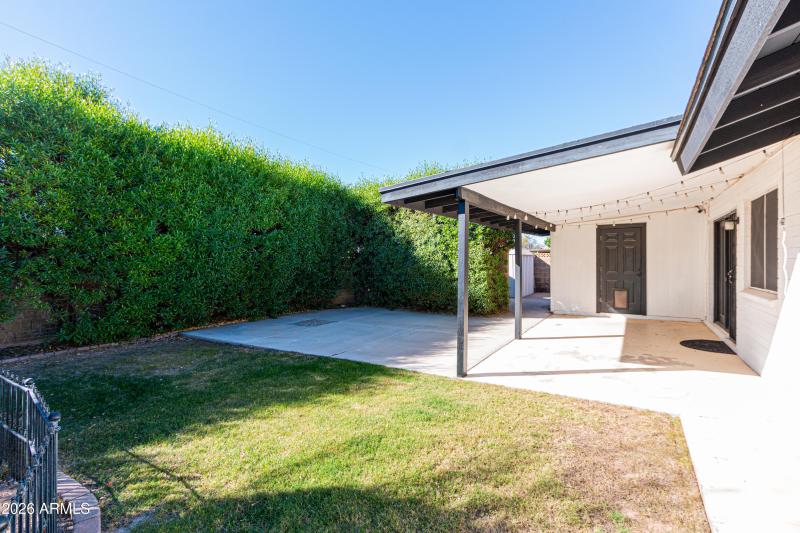 Sunny South Facing Yard