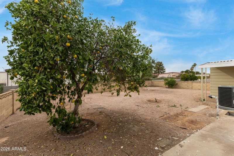 29 Desert