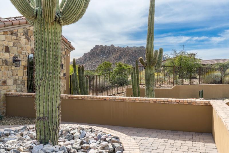 22-11759 E Diamond Cholla Dr (19 of 91)