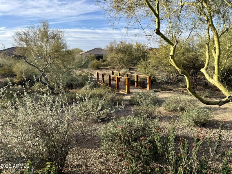 Walking trails