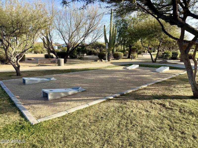 Cornhole