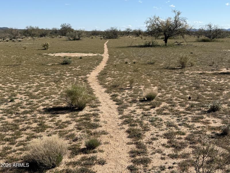 Path to State Land wandering.. (1)